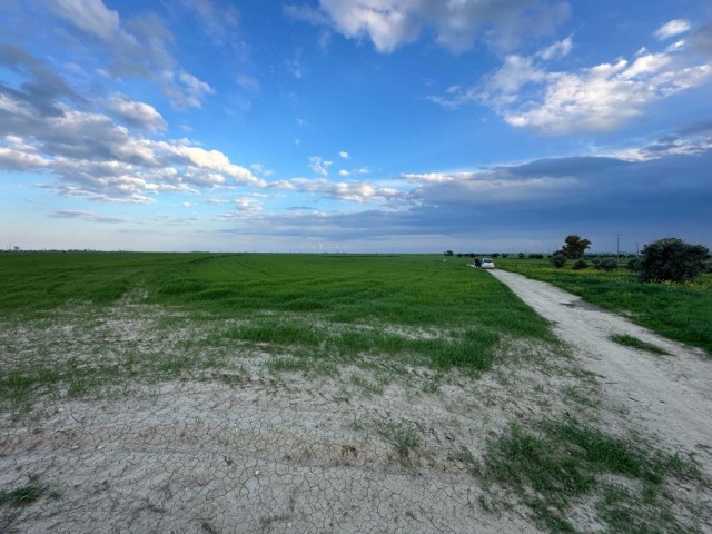 Turkish land in Sütlüce