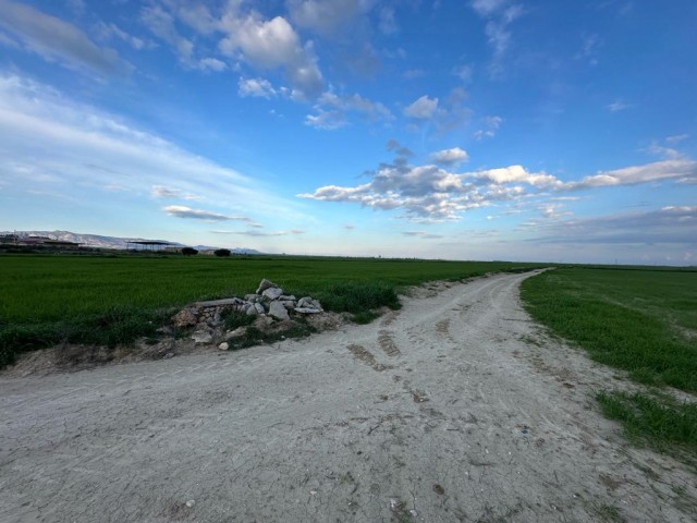 Türkisches Land in Sütlüce