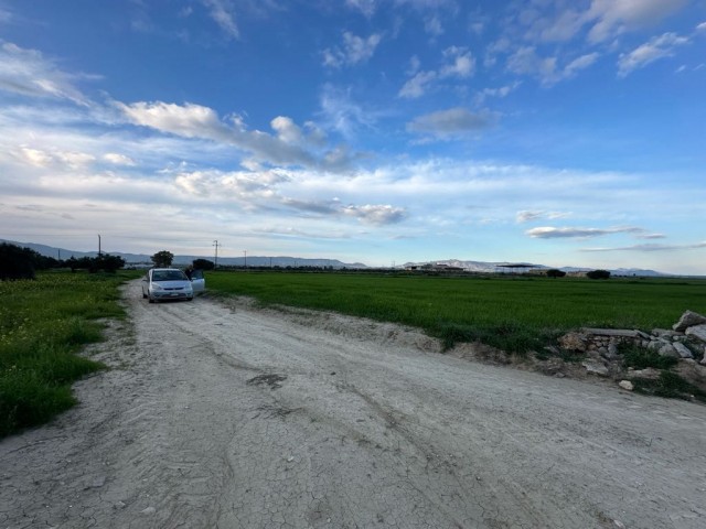 Türkisches Land in Sütlüce