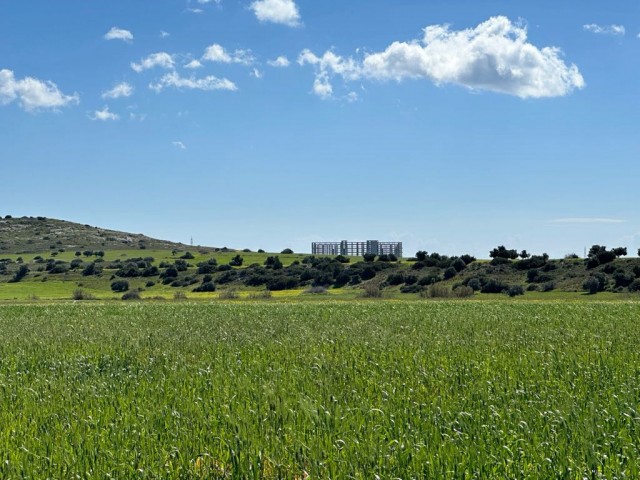 Field with an official road by the stream in Yarköy