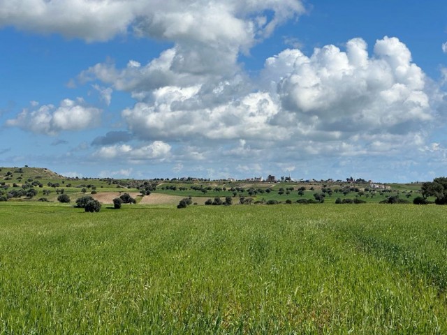 Feld mit einer offiziellen Straße am Bach in Yarköy