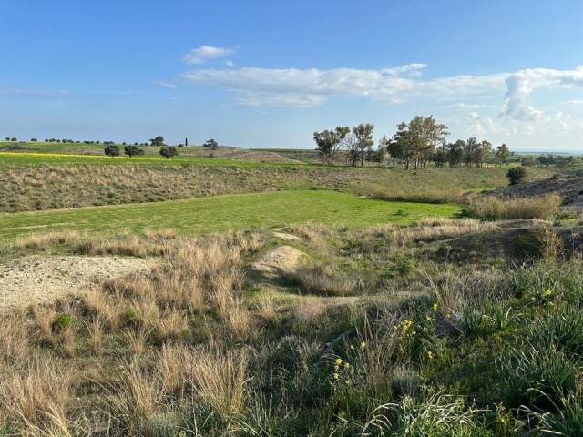 Feld mit einer offiziellen Straße in Çınarlı