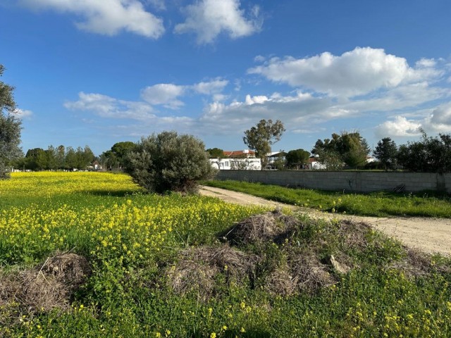 In Geçitkale, a Turkish-made field with a road in a position that can be considered as inside the village.