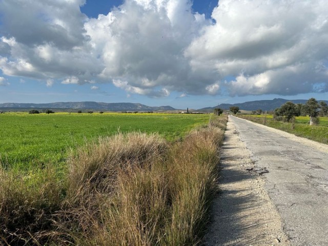 Türkisch angelegtes Feld mit Asphaltstraße und unbefestigter Straße in Geçitkale