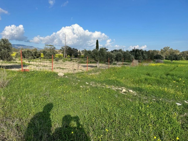 Von der Türkei angelegtes Feld ohne Straßen in Geçitkale