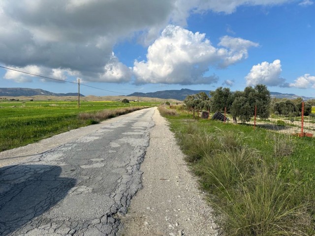 Von der Türkei angelegtes Feld ohne Straßen in Geçitkale