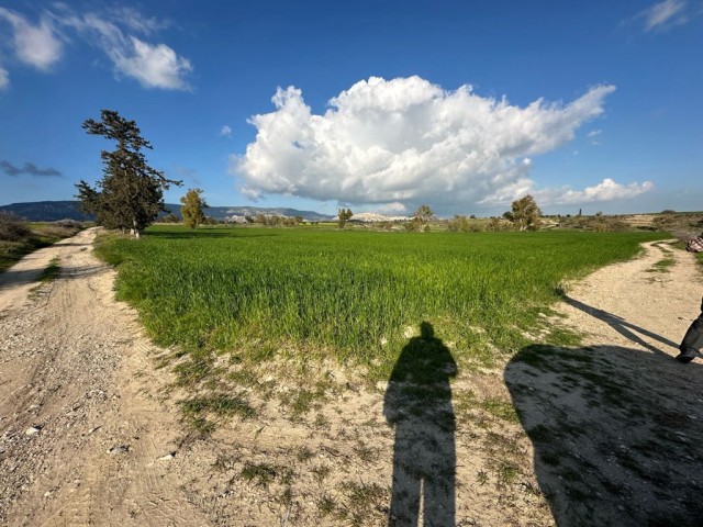 Corner field with official road on 2 sides for sale in Çınarlı