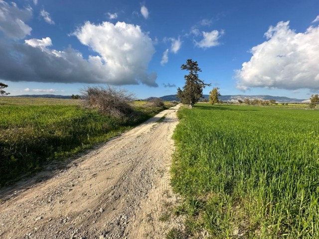 Corner field with official road on 2 sides for sale in Çınarlı