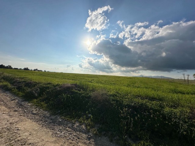 Corner field with official road on 2 sides for sale in Çınarlı