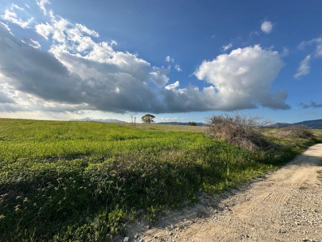 Corner field with official road on 2 sides for sale in Çınarlı