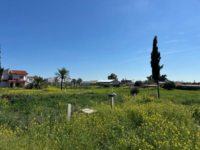 Detached house with 2.5 decare garden in Sütlüce