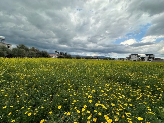 Land for sale in İskele Boğaziçi