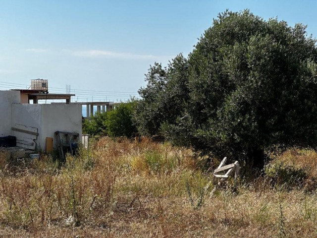 خانه مستقل برای فروش in Sipahi, ایسکله