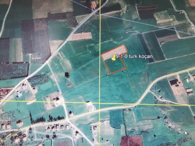 9 DECLARES OF TURKISH KOÇAN FIELD FOR SALE IN YİĞİTLER VILLAGE