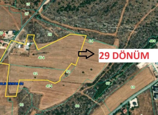 29 DECLARES OF LAND FOR SALE IN İSKELE BAKÇELER.