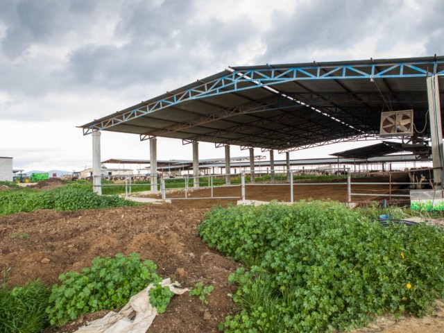 COMPREHENSIVE CAVERSE DAIRY FOR SALE IN SANDALLAR VILLAGE