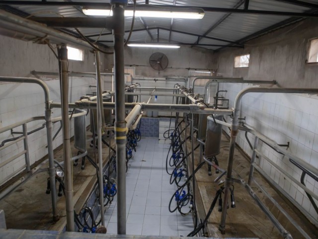 COMPREHENSIVE CAVERSE DAIRY FOR SALE IN SANDALLAR VILLAGE