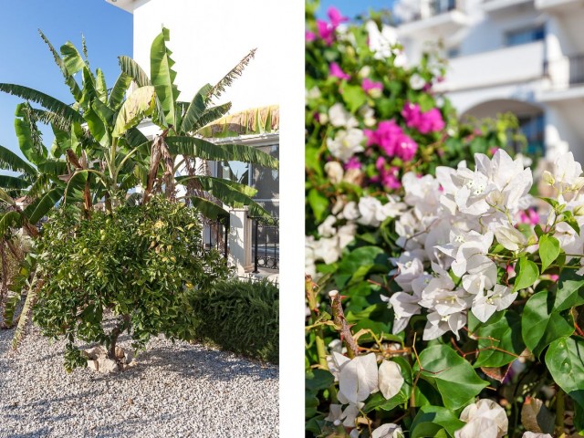 ESENTEPE 5 + 1 VILLA MIT BLICK AUF DIE BERGE UND DAS MEER, PRIVATER POOL