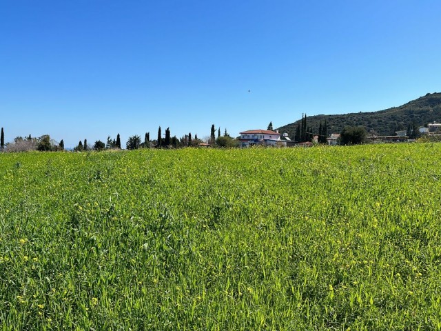 GİRNE ALSANCAK BÖLGESİNDE İMARA AÇIK FULL DENİZ MANZARALI SATILIK ARSA