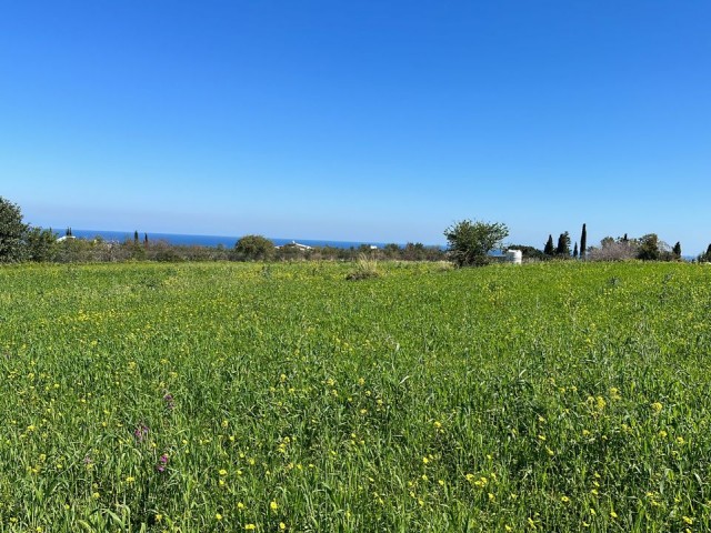 GRUNDSTÜCK ZUM VERKAUF IN GIRNE ALSANCAK GEBIET MIT VOLLSTÄNDIGEM MEERBLICK ZUM BAU OFFEN