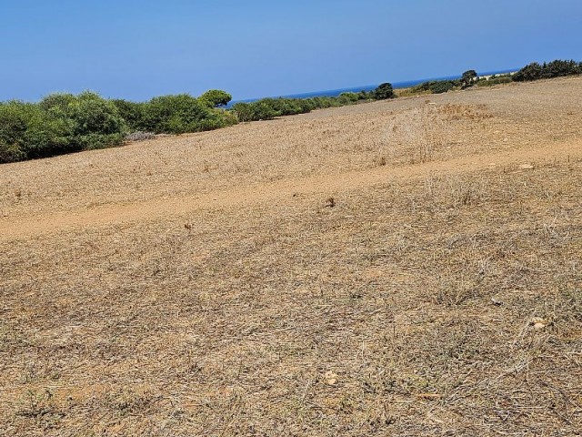 İskele Yenierenkoy 'de yatırımlık denize 800 metre mesafede satılık arazi