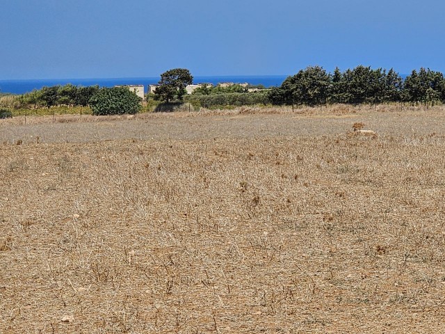 İskele Yenierenkoy 'de yatırımlık denize 800 metre mesafede satılık arazi