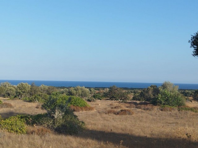 LAND WITH SEA VIEW FOR SALE IN İSKELE KUMYALI