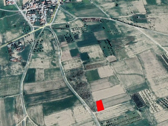 Qualified land for sale in Pınarlı, Magusa, with Chapter 96 zoning, 1124 m2