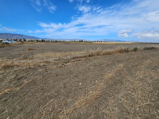 Qualified land for sale in Pınarlı, Magusa, with Chapter 96 zoning, 1124 m2