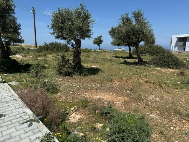 2 separate gleiche Grundstücke zum Verkauf in Çatalköy, Kyrenia