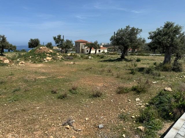 2 separate equal pieces of land for sale in Çatalköy, Kyrenia