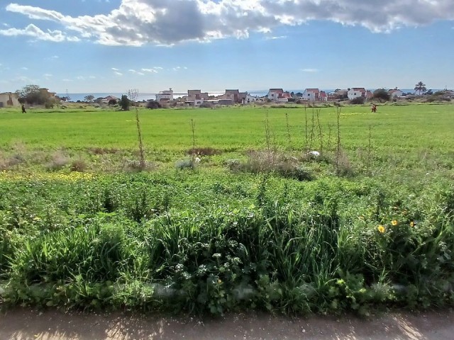 Grundstück mit Meer- und Bergblick und türkischem Titel in Iskele Bogaztepe (Monarga)