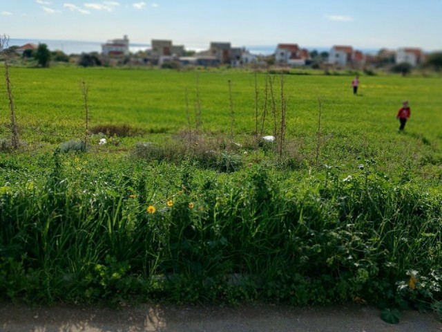 Grundstück mit Meer- und Bergblick und türkischem Titel in Iskele Bogaztepe (Monarga)