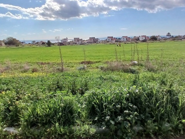 Grundstück mit Meer- und Bergblick und türkischem Titel in Iskele Bogaztepe (Monarga)