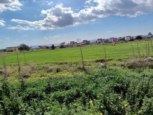 Grundstück mit Meer- und Bergblick und türkischem Titel in Iskele Bogaztepe (Monarga)