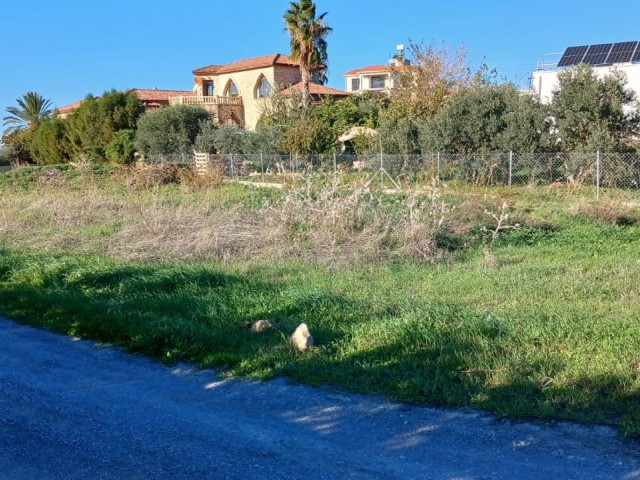 1 Acre 1300 Square Feet Plot 300 M From The Sea In Karşıyaka