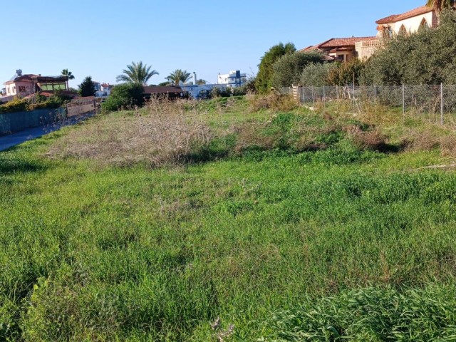 1 Acre 1300 Square Feet Plot 300 M From The Sea In Karşıyaka