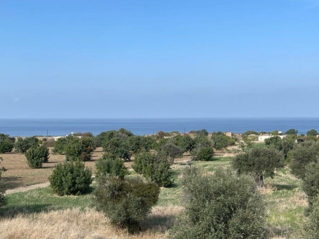 3+1 Villa with Magnificent Sea View in Famagusta Tatlısu