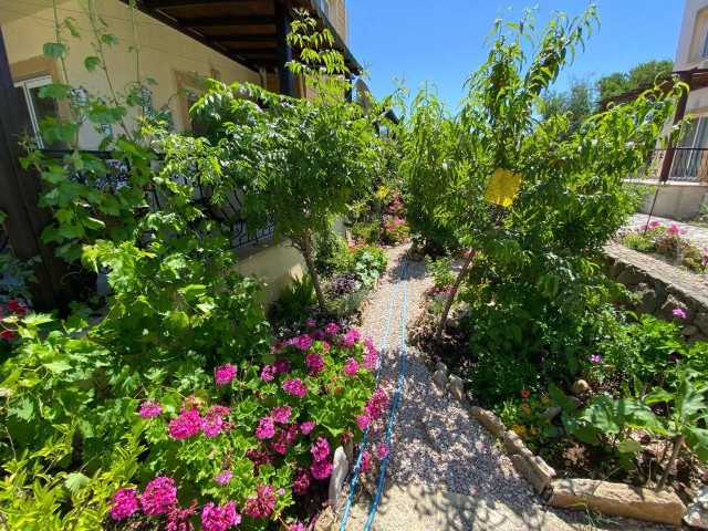 3+1 Wohnung mit Garten und Gemeinschaftspool zum Verkauf in Lapta, wie eine freistehende Villa