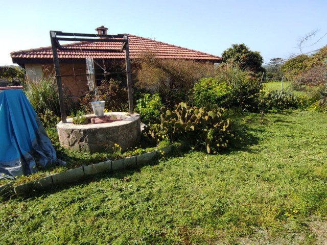 Völlig freistehendes gelbes Steinhaus in Karpaz