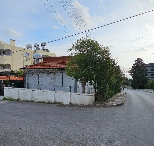 Detached House at the Entrance of Dikmen