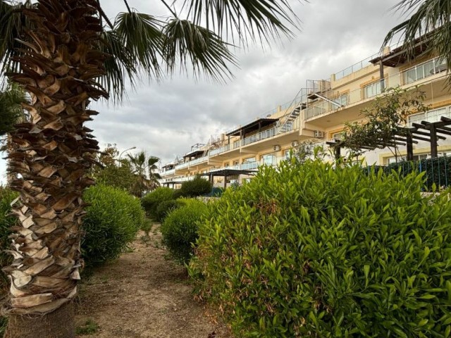 Herrliche 3+1-Wohnung mit Meer- und Bergblick in Tatlısu