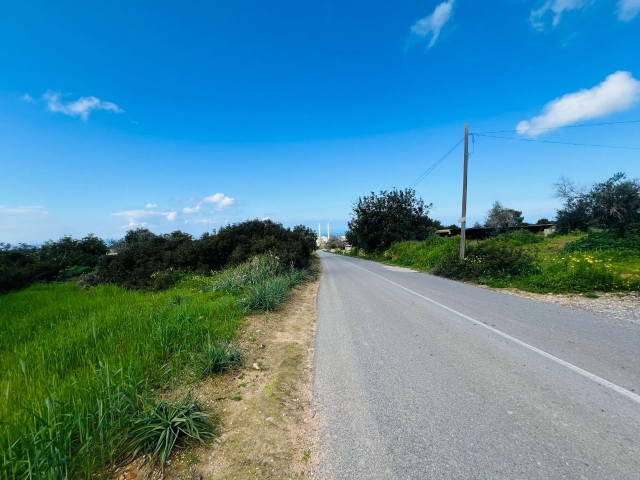 6 GRUNDSTÜCKE MIT MEERBLICK ZUM VERKAUF IN YENİERENKÖY