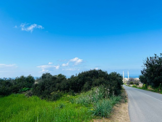 6 DECRES OF LAND WITH SEA VIEW FOR SALE IN YENİERENKÖY