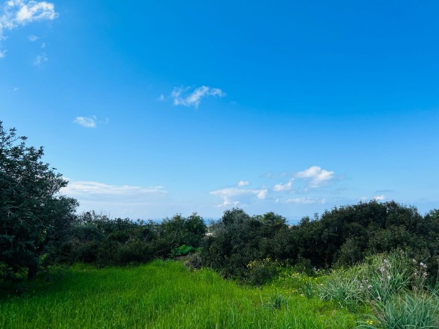 6 DECRES OF LAND WITH SEA VIEW FOR SALE IN YENİERENKÖY