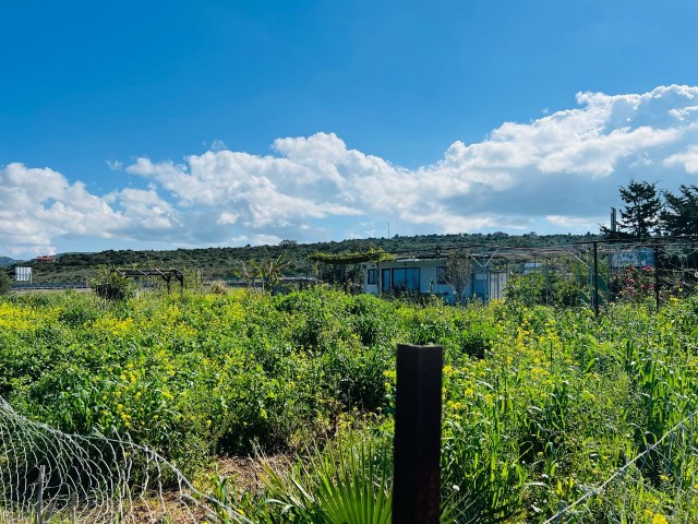 3 Dekaden Land zum Verkauf in Yenierenköy in der Nähe des Meeres