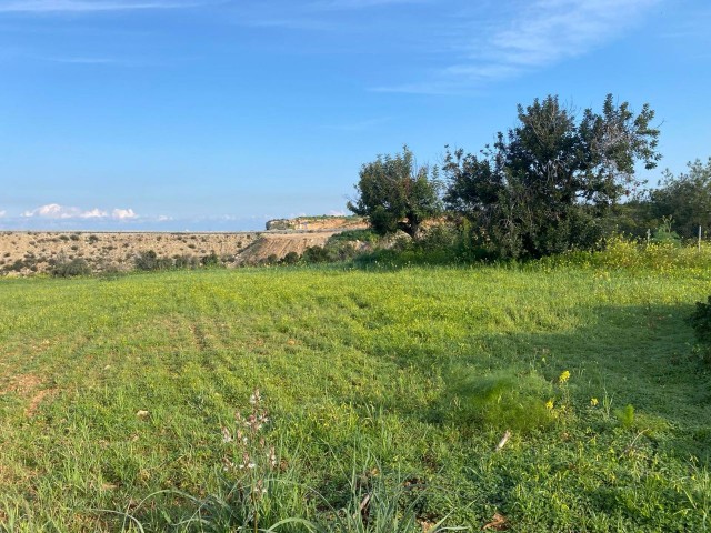 7 DECLARES OF FIELD SUITABLE FOR INVESTMENT FOR SALE IN İSKELE YEŞİLKÖY