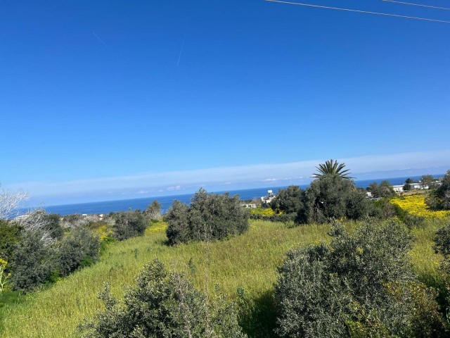 2 Hektar Land mit herrlichem Meerblick und Zoneneinteilung