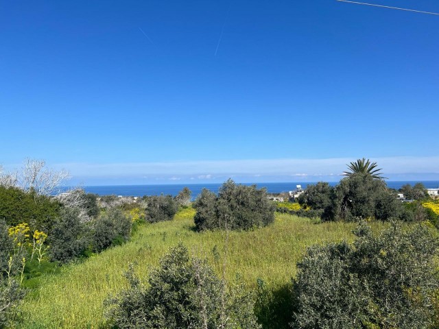 2 Hektar Land mit herrlichem Meerblick und Zoneneinteilung