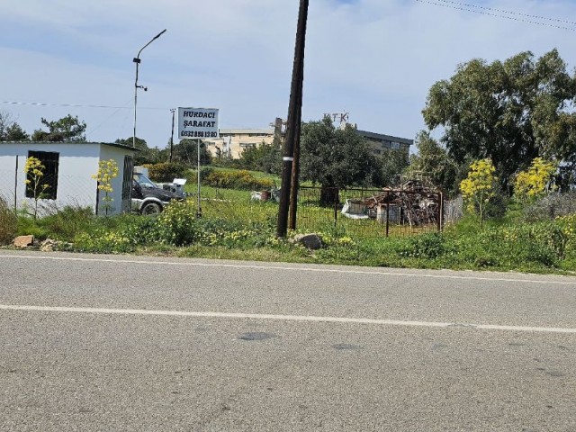 5 DECLARES OF LAND FOR SALE IN YENİERENKÖY!